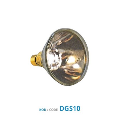 Philips Pars38 120W/24V Bulb